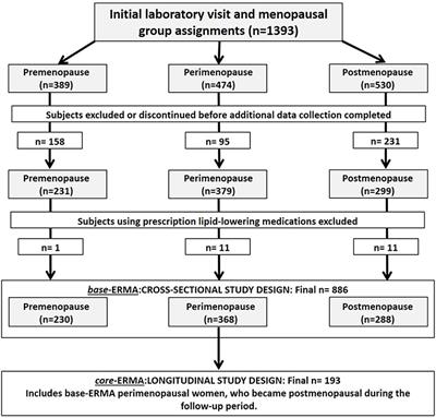 Menopausal Status and Physical Activity Are Independently Associated With Cardiovascular Risk Factors of Healthy Middle-Aged Women: Cross-Sectional and Longitudinal Evidence